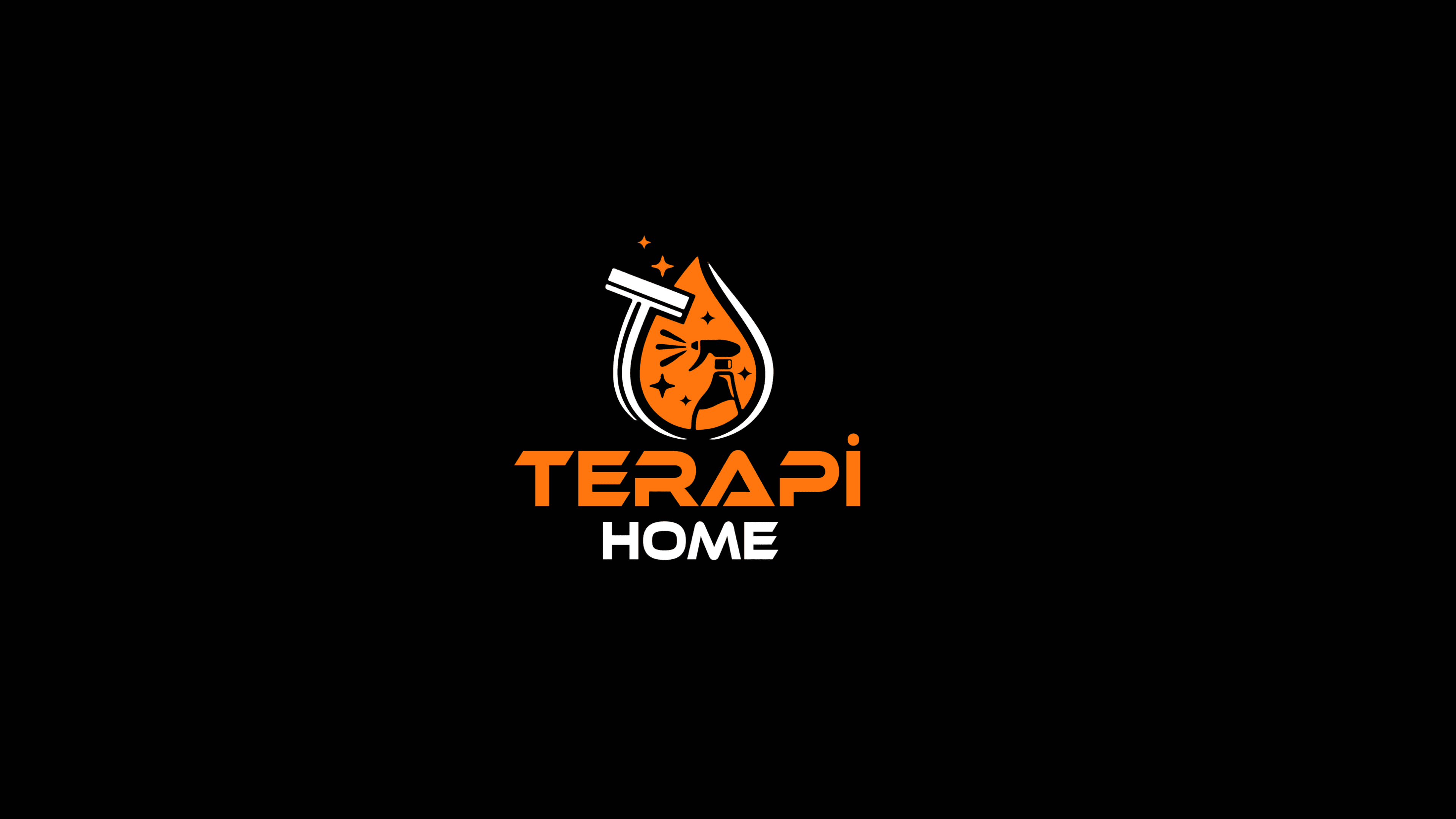 TerapiHome Koltuk Yıkama